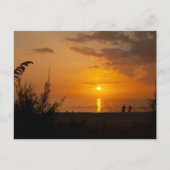 Captiva Sunset Postcard Postkarte (Vorderseite)