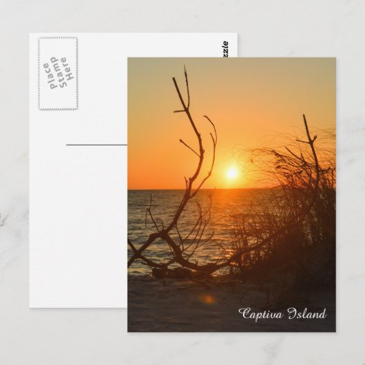 Captiva Sunset Postkarte (Vorne/Hinten)