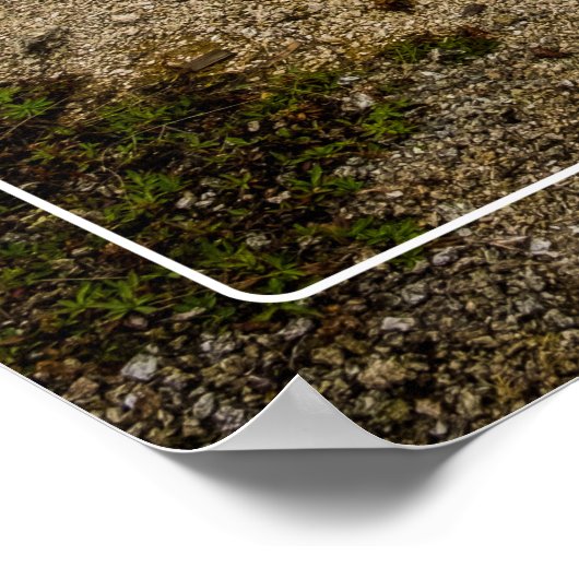 Captivating Grand Prismatic Yellowstone Poster (Ecke)