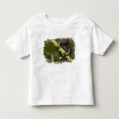 Captive Tapichalaca Tree Frog Hyloscirtus 2 Kleinkind T-shirt (Vorderseite)