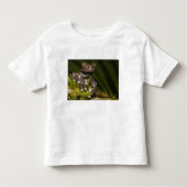 Captive Tapichalaca Tree Frog Hyloscirtus 3 Kleinkind T-shirt (Vorderseite)