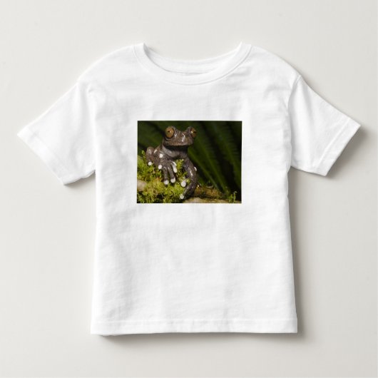 Captive Tapichalaca Tree Frog Hyloscirtus 3 Kleinkind T-shirt (Vorderseite)