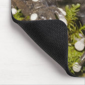 Captive Tapichalaca Tree Frog Hyloscirtus 3 Mousepad (Ecke)