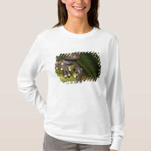 Captive Tapichalaca Tree Frog Hyloscirtus 3 T-Shirt