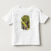 Captive Tapichalaca Tree Frog Hyloscirtus Kleinkind T-shirt (Vorderseite)