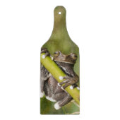 Captive Tapichalaca Tree Frog Hyloscirtus Schneidebrett (Vorderseite)