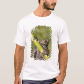 Captive Tapichalaca Tree Frog Hyloscirtus T-Shirt (Vorderseite)