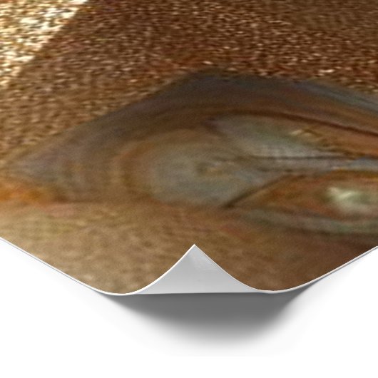 Capture Art Winter Scene & Snow and Ice Crystals Poster (Ecke)