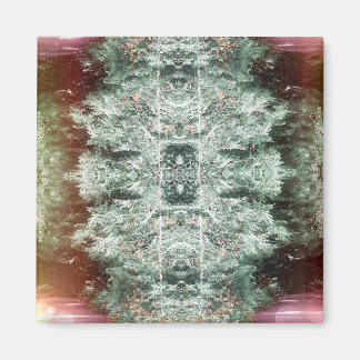 'Capture'-Magnet Magnet