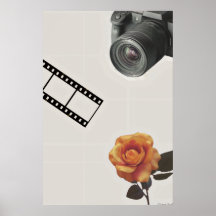 Captured Bloom: Camera, Film & Rose Collage