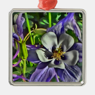 Captured Colorado Columbine Blume Silbernes Ornament