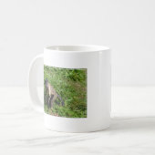 Capuchin-Affe, der für die Kamera überfällt Kaffeetasse (Vorderseite Links)