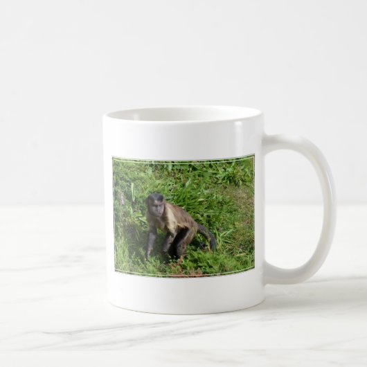 Capuchin-Affe, der für die Kamera überfällt Kaffeetasse (Rechts)