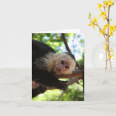Capuchin-Affe Notecard Karte (Gelbe Blume)