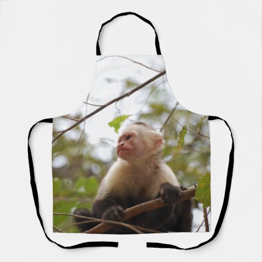 Capuchin, Costa Rica Monkey Schürze (Vorderseite)