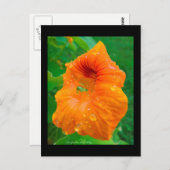 Capucin Postkarte (Vorne/Hinten)