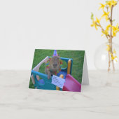 Capy Geburtstag von Caplin Rous Karte (Gelbe Blume)