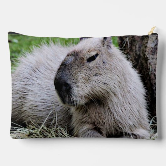 Capybara 7 zubehörtasche (Rückseite)