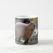 Capybara am Rande eines Teiches Kaffeetasse (Mittel)