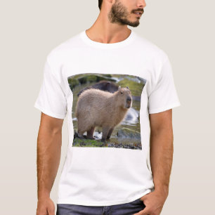 Capybara am Rande eines Teiches T-Shirt