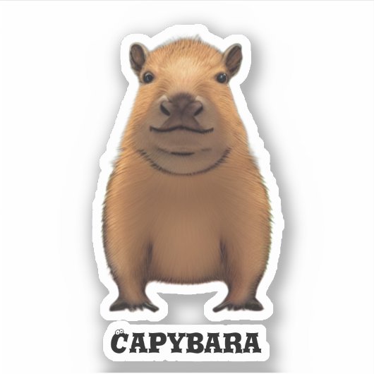 Capybara Aufkleber (Vorderseite)
