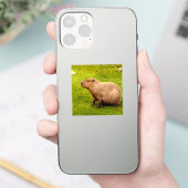 Capybara Aufkleber (Telefon)
