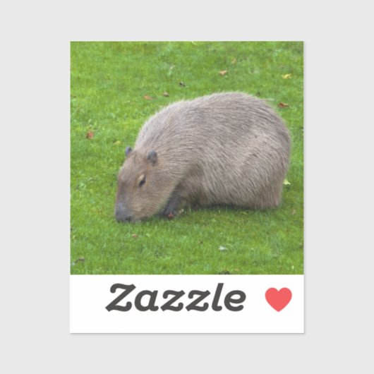 Capybara-Aufkleber Aufkleber (Blatt)