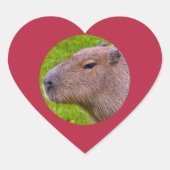 Capybara-Aufkleber Herz-Aufkleber (Vorderseite)
