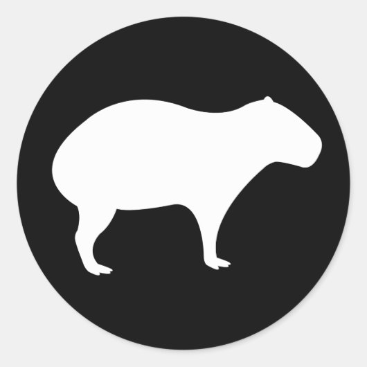 Capybara-Aufkleber Runder Aufkleber (Vorderseite)