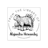 Capybara aus der Bibliothek, Buch Gummistempel (Prägung)