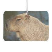 Capybara Autolufterfrischer (Rückseite)