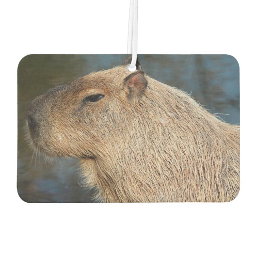 Capybara Autolufterfrischer (Rückseite)