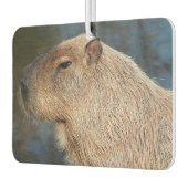 Capybara Autolufterfrischer (Links)