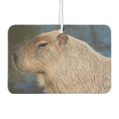 Capybara Autolufterfrischer (Vorderseite)