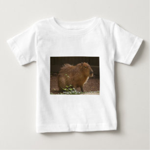 Capybara Baby T-shirt