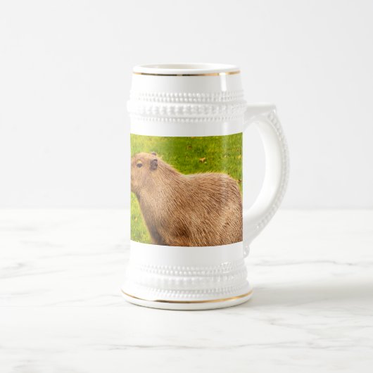 Capybara Bierglas (VorderseiteRechts)