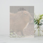 Capybara Briefbogen (Stehend Vorderseite)
