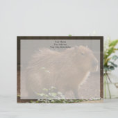 Capybara Briefkopf (Stehend Vorderseite)