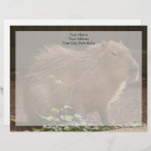 Capybara Briefkopf (Vorne/Hinten)