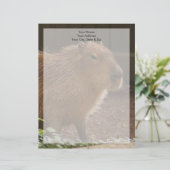 Capybara Briefkopf (Stehend Vorderseite)