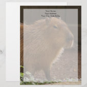 Capybara Briefkopf (Vorne/Hinten)