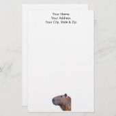 Capybara Briefpapier (Vorne/Hinten)