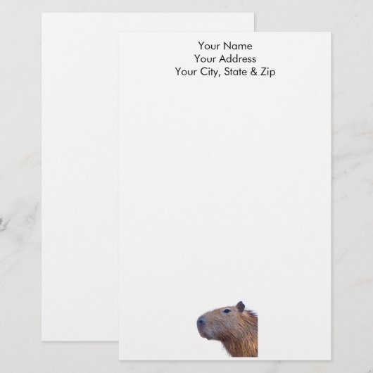 Capybara Briefpapier (Vorne/Hinten)
