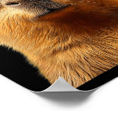 Capybara Bruh With Sungles Funny Meme Lovers Men W Poster (Ecke)