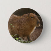 Capybara Button (Vorderseite)
