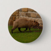 Capybara Button (Vorderseite)