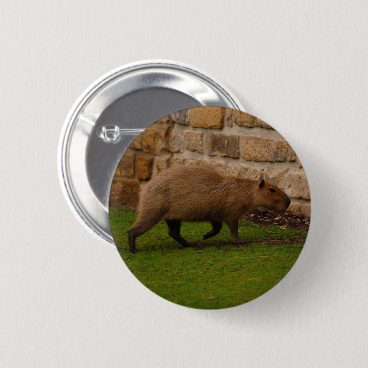 Capybara Button (Vorne & Hinten)