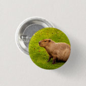 Capybara Button (Vorne & Hinten)