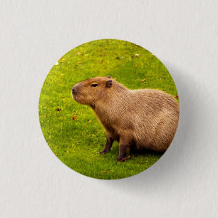 Capybara Button