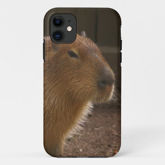 Capybara Case-Mate iPhone Hülle (Rückseite)